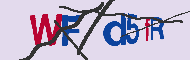 Codice captcha