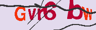 Codice captcha