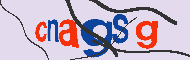 Codice captcha