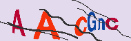 Codice captcha