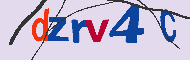 Codice captcha
