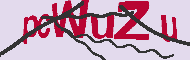 Codice captcha