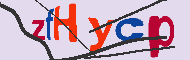 Codice captcha
