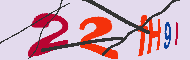 Codice captcha