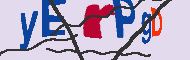 Codice captcha