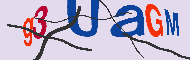 Codice captcha