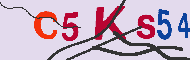Codice captcha