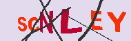 Codice captcha
