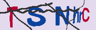 Codice captcha