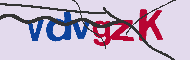 Codice captcha