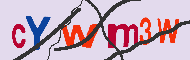 Codice captcha