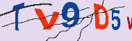 Codice captcha