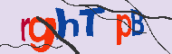Codice captcha