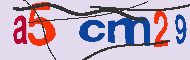 Codice captcha