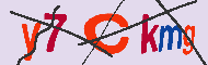 Codice captcha