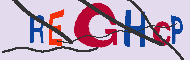 Codice captcha