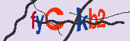 Codice captcha