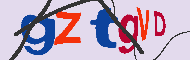Codice captcha