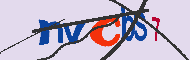 Codice captcha