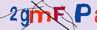 Codice captcha
