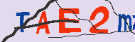 Codice captcha